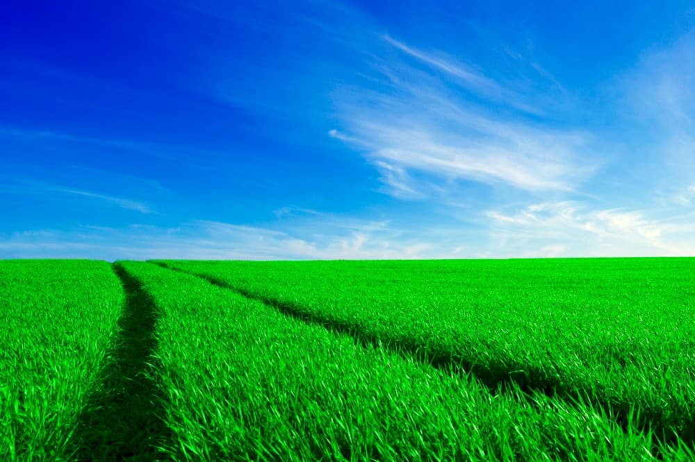 Trusted by Farmers Across India